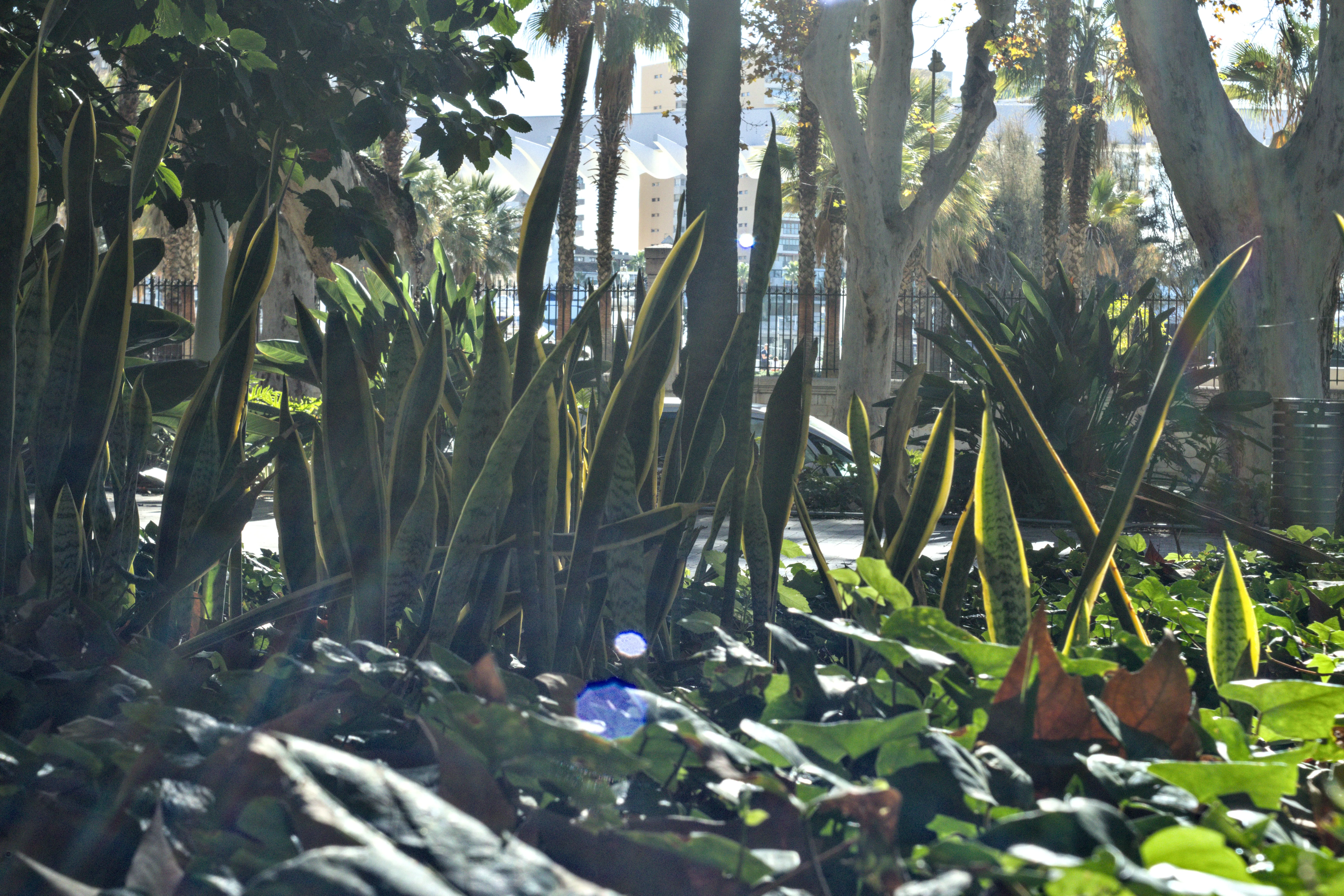 Zenith Helios-77M-4 1,850 (VOMZ) - _I4A5847.webp